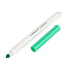 Crayola, Super Tips, flamastry zmywalne, pastelowe, 12 szt.