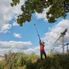 DeWalt, pilarka łańcuchowa, 18V, DCMPS567N-XJ