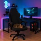 Dunmoon, pokrowiec na fotel gamingowy