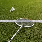 Enero, Pro 30, rakieta do badmintona