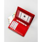 Etui na dokumenty, czerwone, skórzane, Rovicky