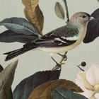 Eurofirany, zasłona zaciemniająca gotowa, Eleni, 140-250 cm, oliwkowy