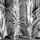 Eurofirany, zasłona zaciemniająca gotowa, Nerina, 140-150 cm, biały