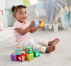 Fisher-Price, Pierwsze Słówka, Zwierzęta, zestaw 10 klocków