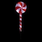 Fééric Lights and Christmas, świąteczna lampa solarna, wbijana, 65 cm