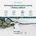 Georganics, naturalne tabletki do mycia zębów, English Peppermint, 120 tabletek