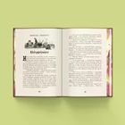 Harry Potter i Komnata Tajemnic (ilustrowane brzegi) wer. limitowana