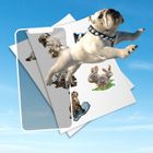 HoloToyz, naklejki AR z dźwiękiem, Pet Party