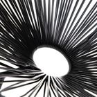 Homla, Acapulco Fiesta, fotel, czarny, 70-73-80 cm