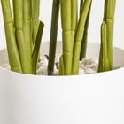 Homla, Botanic, roślina sztuczna, strelicja, 75 cm