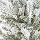 Homla, Dula, choinka, szroniona zielona w jucie, 30 cm