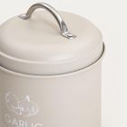 Homla, Flora, pojemnik, na czosnek, 11-18 cm