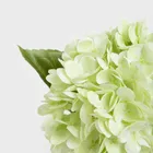 Homla, Fortens, gałązka sztuczna, hortensja, zielona, 49 cm, 739019