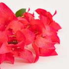 Homla, Gwilla, gałązka sztuczna, bugenwila malinowa, 95 cm