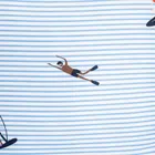 Homla, Mare, pościel, z mikrofibry w wakacyjny wzór, 200-220 cm