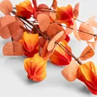 Homla, Michu, gałązka sztuczna, miechunka pomarańczowa, 60 cm