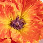 Homla, Slava, gałązka sztuczna, kwiat pomarańczowy, 85 cm