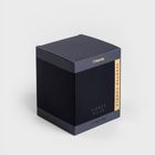 Homla, Sleek Leather, świeca zapachowa, Amber Musk, 225 G