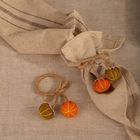 Homla, Zucca, zestaw pierścieni, na serwetki, z dyniami, 2 szt.