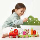 Janod, Farma, pociąg z klockami i figurkami do ciągnięcia