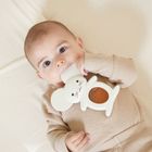 Kaloo, Grignoti, Myszka, gryzak chłodzący, silikonowy