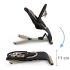 Kidwell, Rubi, bujaczek czarno-złoty