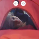 Kinderkraft, Siesta 2, wózek spacerowy, dark ruby