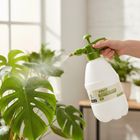 Kinzo, spryskiwacz ciśnieniowy do roślin, 2l, 1 szt.