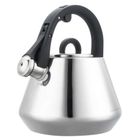 Klausberg, czajnik stalowy z gwizdkiem, 2,5l, kb-7947