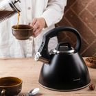 Klausberg, czajnik stalowy z gwizdkiem, 2,5l, kb-7952