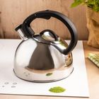 Klausberg, czajnik z gwizdkiem, stalowy, 2,5l, KB-7910