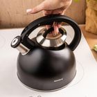 Klausberg, czajnik z gwizdkiem, stalowy, 2,5l, KB-7911