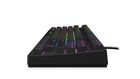 Krux, klawiatura gamingowa, Atax RGB Outemu Brown