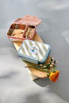 Lassig, Sunny Explorer, lunchbox ze stali nierdzewnej, Rose/Pink