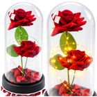 Lean Toys, 2 wieczne róże w kopule, z oświetleniem LED