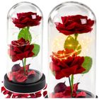 Lean Toys, 2 wieczne róże w kopule, z oświetleniem LED