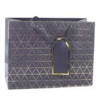 Lean Toys, torba prezentowa geometryczna złote linie, 23-18-10 cm, 1 szt.