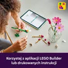 LEGO Botanicals, Kosmosy, 11514