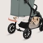 Lionelo, Emerald, wózek spacerowy, green forest