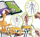 Lisciani, I'm a Genius, Poznaj Ciało Człowieka, zestaw naukowy