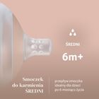 Lovi, Mammafeel, smoczek dynamiczny do karmienia, średni przepływ, 6m+