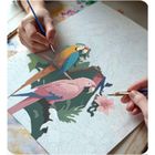 Massido, obraz do malowania po numerach, Papugi, 40-50 cm