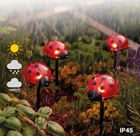 Maximex, lampki ogrodowe solarne, biedronki LED, 14 cm, 4 szt.