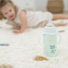 Miniland, Dolce, butelka termiczna ze stali nierdzewnej ze smoczkiem, miętowa, 240 ml