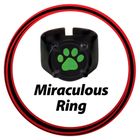 Miraculous: Biedronka i Czarny Kot, Czarny Kot, zestaw do odgrywania ról