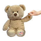 Miś Cobiś, Pacjent, maskotka interaktywna