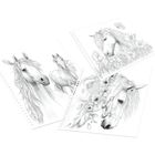 Miss Melody, kolorowanka