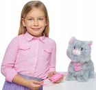Natalia, kotek chodzący na smyczy, szary