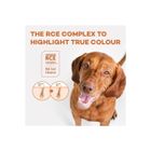 Nature's Protection, sucha karma dla psów małych ras, łosoś, kryl, 1,5 kg