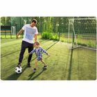 Neo-Sport, NS-496, bramka do piłki nożnej, 300-200-90 cm